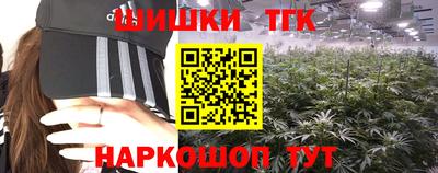 тгк Моздок