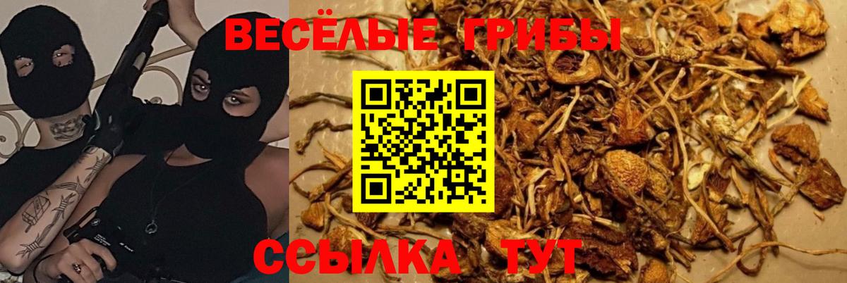 Псилоцибиновые грибы ЛСД Сочи